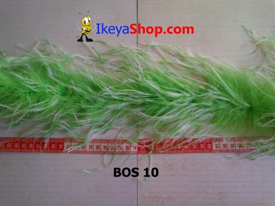 BOS 10  large2